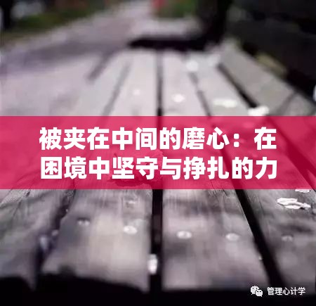 被夹在中间的磨心：在困境中坚守与挣扎的力量象征