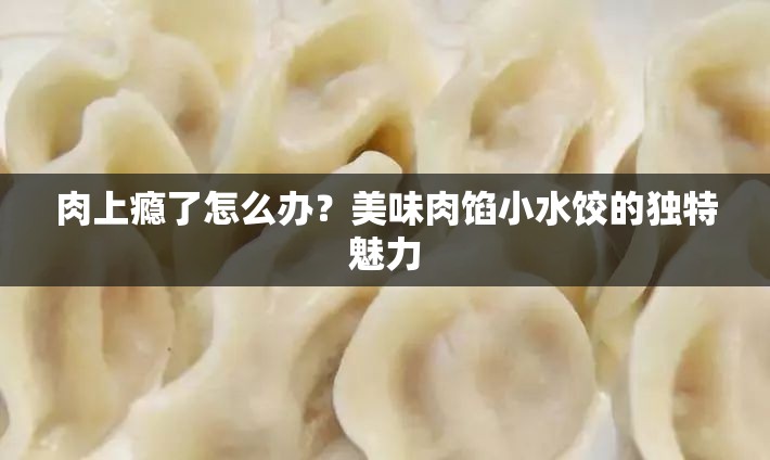 肉上瘾了怎么办？美味肉馅小水饺的独特魅力