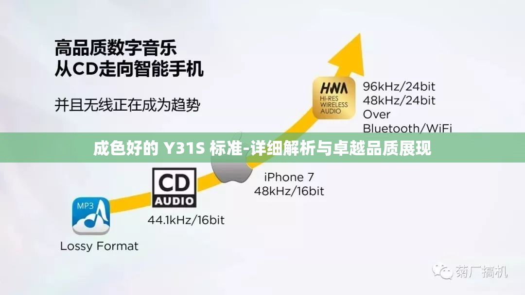 成色好的 Y31S 标准-详细解析与卓越品质展现