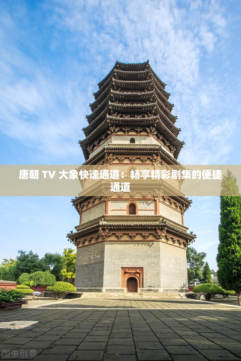 唐朝 TV 大象快速通道：畅享精彩剧集的便捷通道