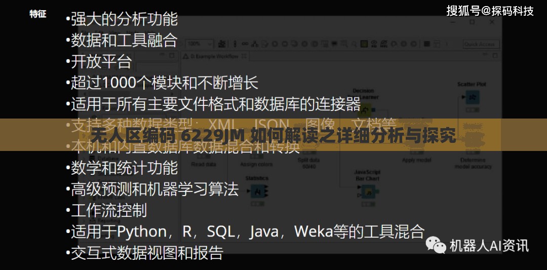 无人区编码 6229JM 如何解读之详细分析与探究
