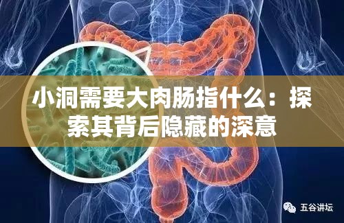 小洞需要大肉肠指什么：探索其背后隐藏的深意