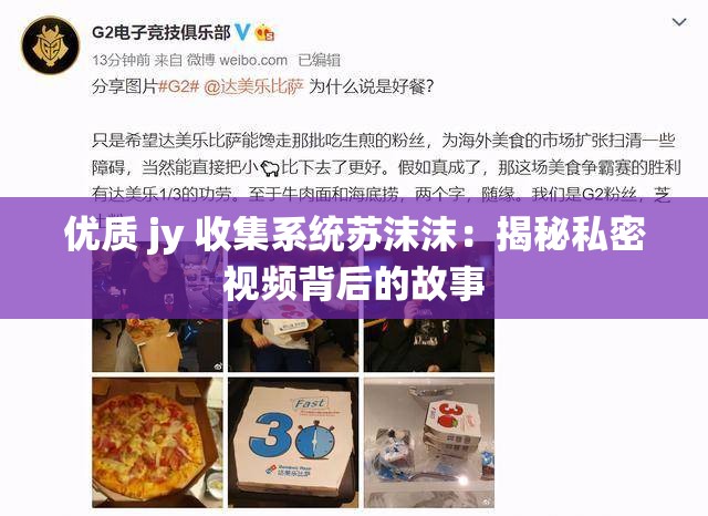 优质 jy 收集系统苏沫沫：揭秘私密视频背后的故事