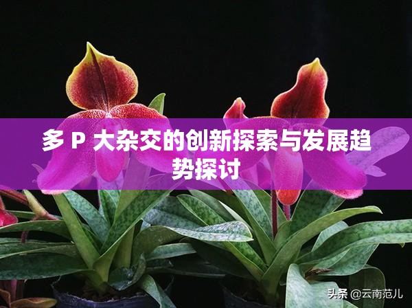 多 P 大杂交的创新探索与发展趋势探讨