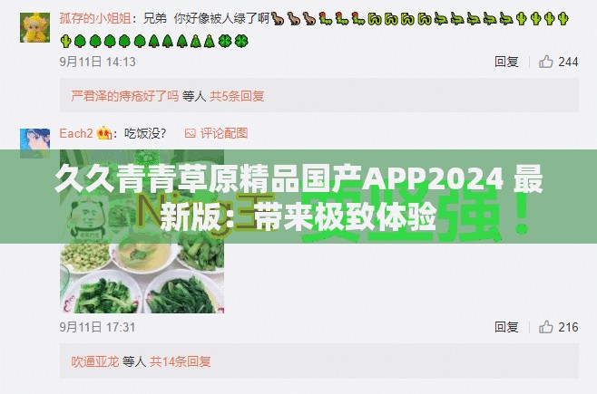 久久青青草原精品国产APP2024 最新版：带来极致体验