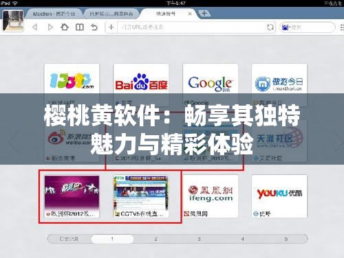 樱桃黄软件：畅享其独特魅力与精彩体验