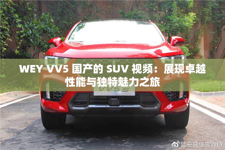 WEY VV5 国产的 SUV 视频：展现卓越性能与独特魅力之旅