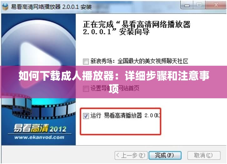 如何下载成人播放器：详细步骤和注意事项