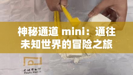 神秘通道 mini：通往未知世界的冒险之旅