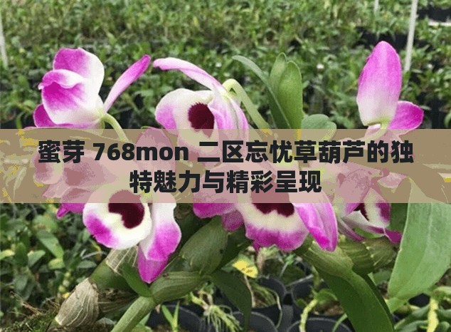 蜜芽 768mon 二区忘忧草葫芦的独特魅力与精彩呈现