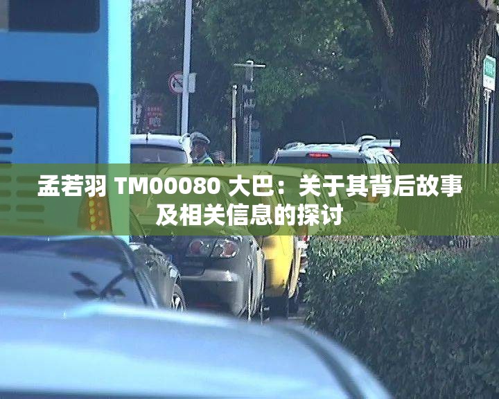 孟若羽 TM00080 大巴：关于其背后故事及相关信息的探讨