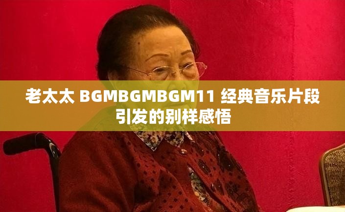 老太太 BGMBGMBGM11 经典音乐片段引发的别样感悟