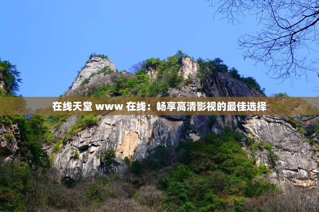 在线天堂 www 在线：畅享高清影视的最佳选择