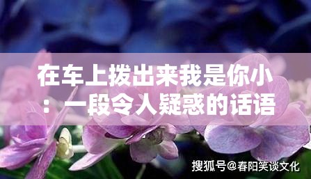 在车上拨出来我是你小：一段令人疑惑的话语背后的故事