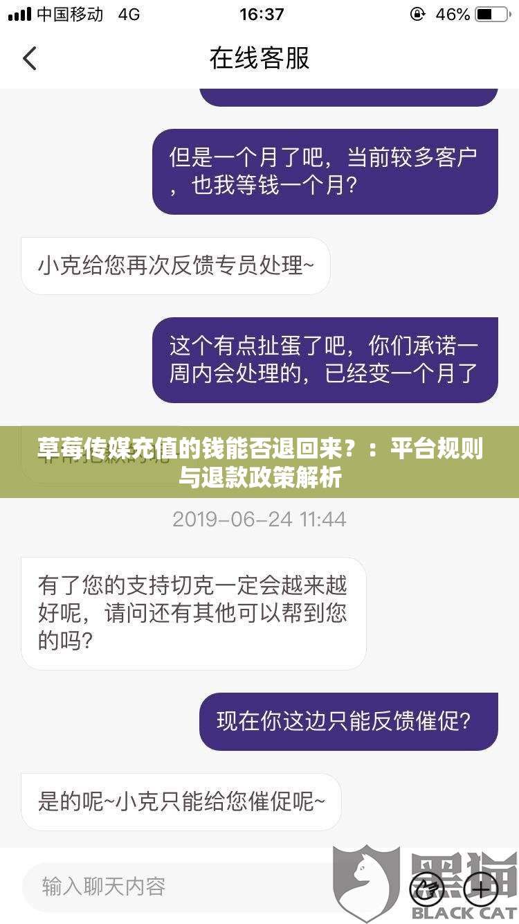 草莓传媒充值的钱能否退回来？：平台规则与退款政策解析
