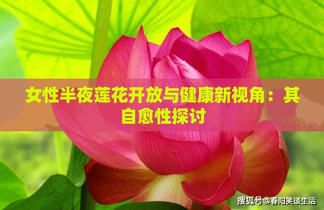 女性半夜莲花开放与健康新视角：其自愈性探讨