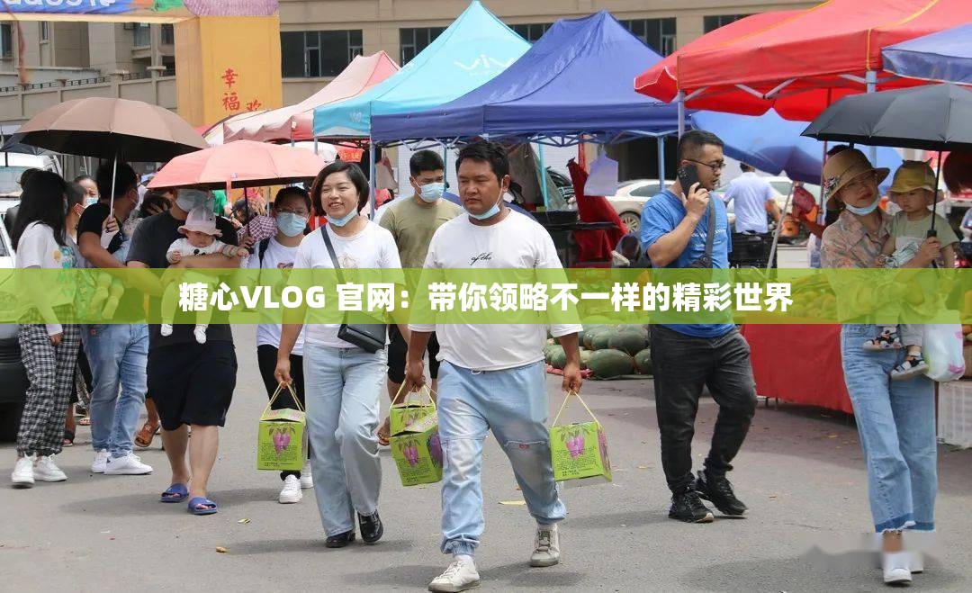 糖心VLOG 官网：带你领略不一样的精彩世界