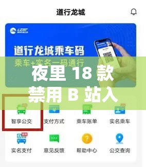 夜里 18 款禁用 B 站入 APP 软件：一场网络乱象的反思