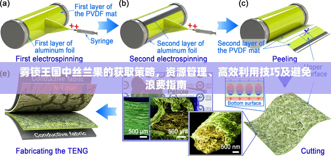 雾锁王国中丝兰果的获取策略，资源管理、高效利用技巧及避免浪费指南