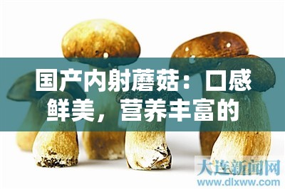 国产内射蘑菇：口感鲜美，营养丰富的食用菌