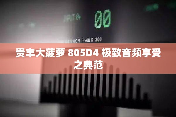 贵丰大菠萝 805D4 极致音频享受之典范