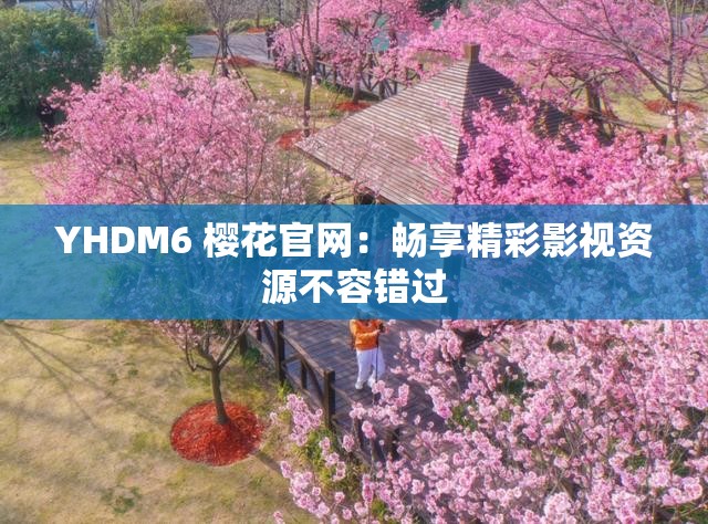 YHDM6 樱花官网：畅享精彩影视资源不容错过