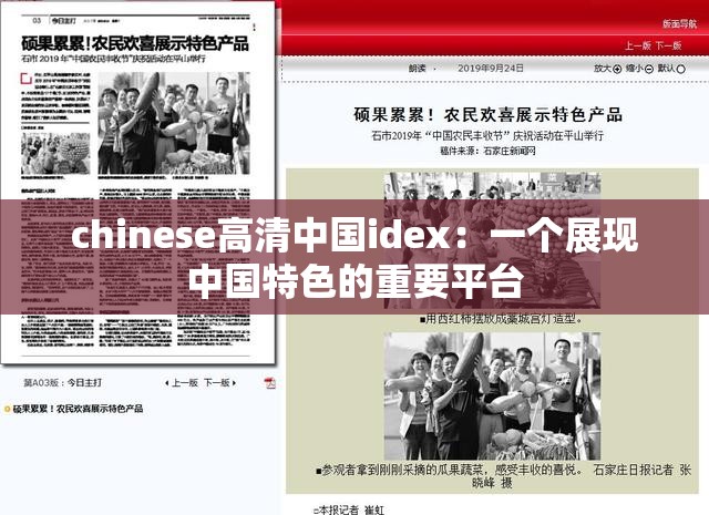 chinese高清中国idex：一个展现中国特色的重要平台