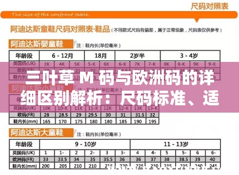 三叶草 M 码与欧洲码的详细区别解析：尺码标准、适用人群等全方位解读