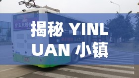 揭秘 YINLUAN 小镇公交车尺寸：尺寸惊人