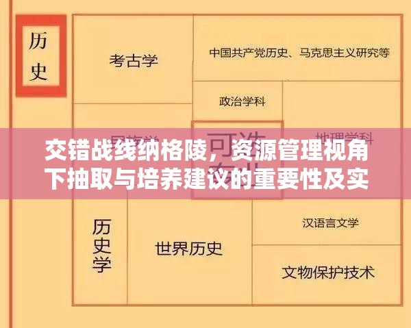 交错战线纳格陵，资源管理视角下抽取与培养建议的重要性及实施策略