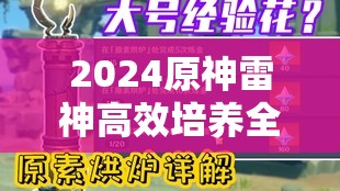 2024原神雷神高效培养全攻略，从资源管理视角出发的实战策略解析