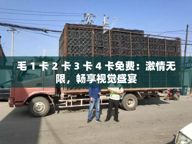 毛 1 卡 2 卡 3 卡 4 卡免费：激情无限，畅享视觉盛宴