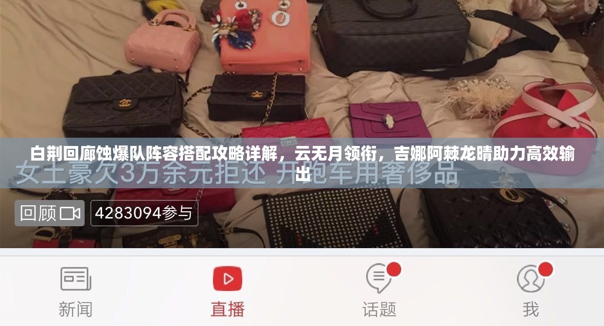 白荆回廊蚀爆队阵容搭配攻略详解，云无月领衔，吉娜阿棘龙晴助力高效输出