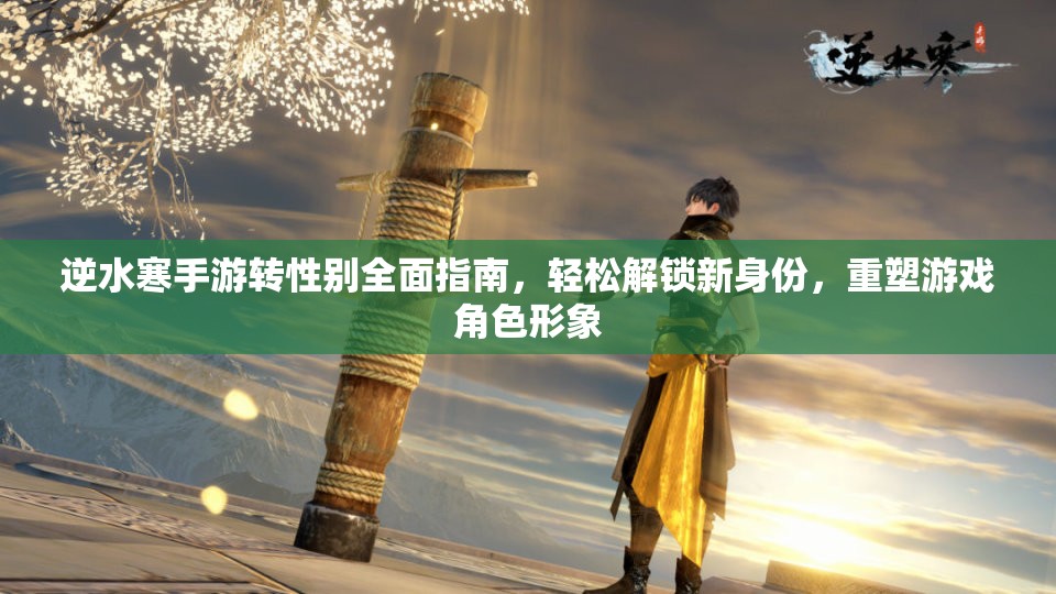 逆水寒手游转性别全面指南，轻松解锁新身份，重塑游戏角色形象