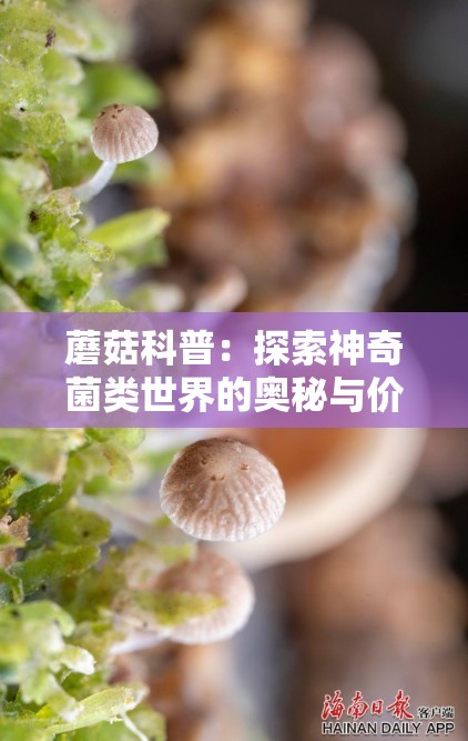 蘑菇科普：探索神奇菌类世界的奥秘与价值