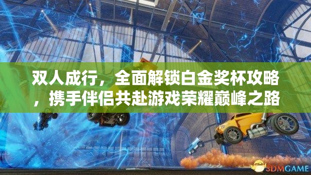 双人成行，全面解锁白金奖杯攻略，携手伴侣共赴游戏荣耀巅峰之路