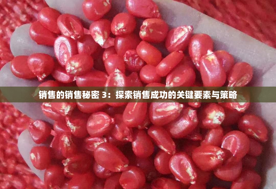 销售的销售秘密 3：探索销售成功的关键要素与策略