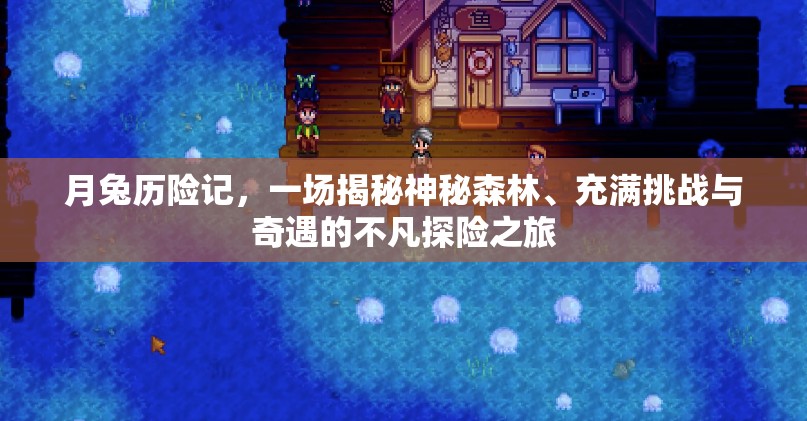 月兔历险记，一场揭秘神秘森林、充满挑战与奇遇的不凡探险之旅