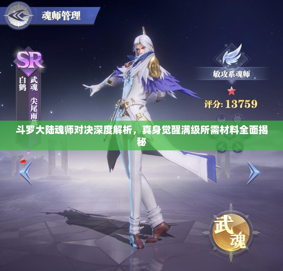 斗罗大陆魂师对决深度解析，真身觉醒满级所需材料全面揭秘