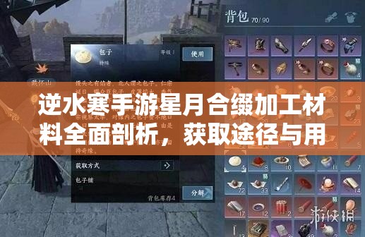 逆水寒手游星月合缀加工材料全面剖析，获取途径与用途详解