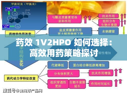 药效 1V2HPO 如何选择：高效用药策略探讨