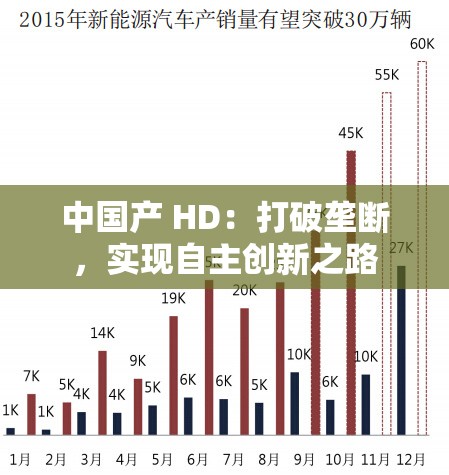 中国产 HD：打破垄断，实现自主创新之路