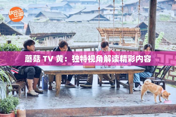 蘑菇 TV 黄：独特视角解读精彩内容