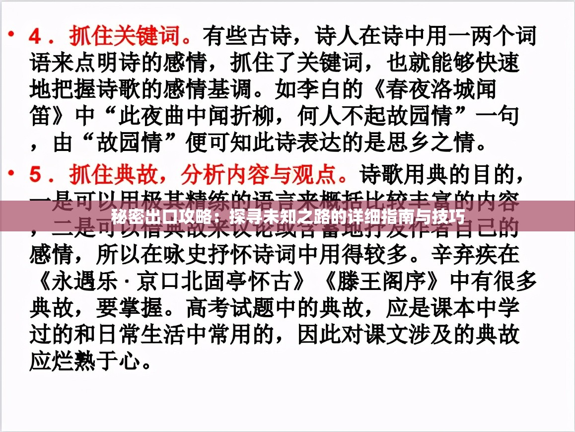 秘密出口攻略：探寻未知之路的详细指南与技巧