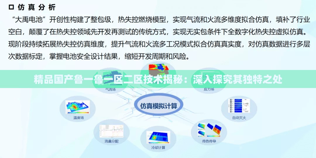 精品国产鲁一鲁一区二区技术揭秘：深入探究其独特之处
