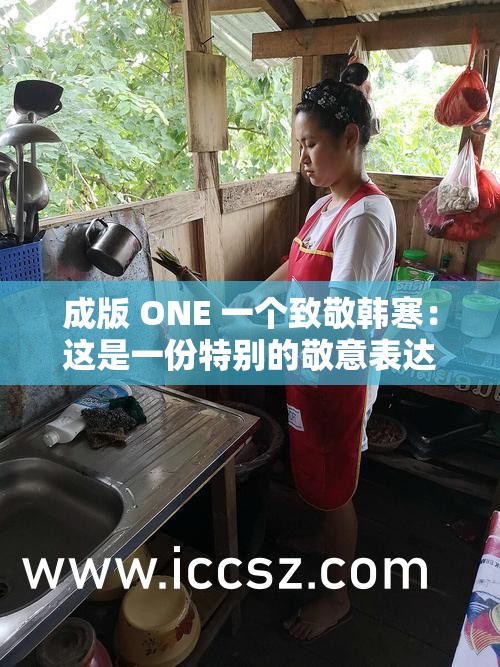 成版 ONE 一个致敬韩寒：这是一份特别的敬意表达