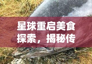 星球重启美食探索，揭秘传统与现代融合的水炖金枪鱼糜美味制作配方