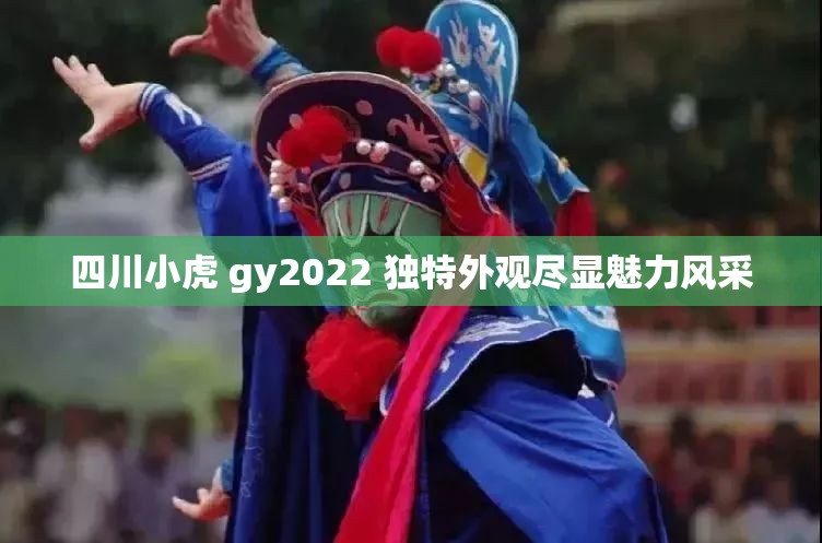 四川小虎 gy2022 独特外观尽显魅力风采