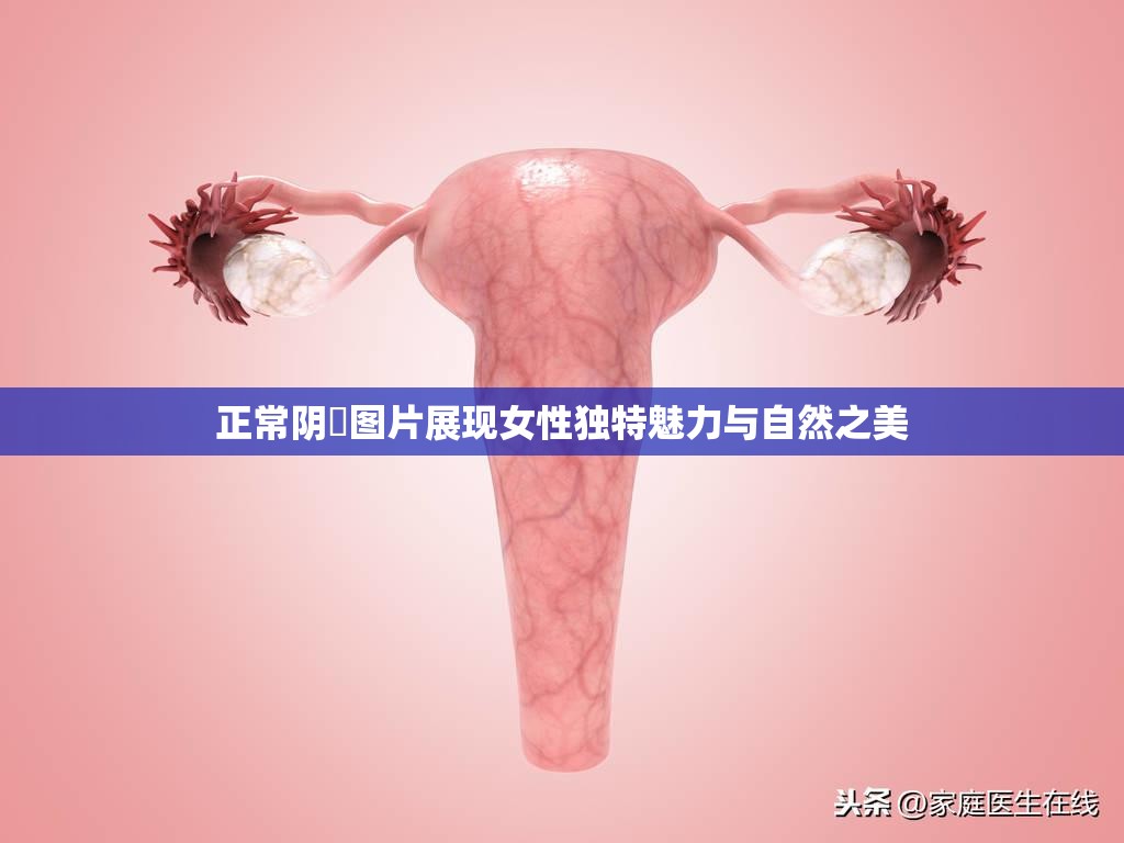 正常阴脣图片展现女性独特魅力与自然之美