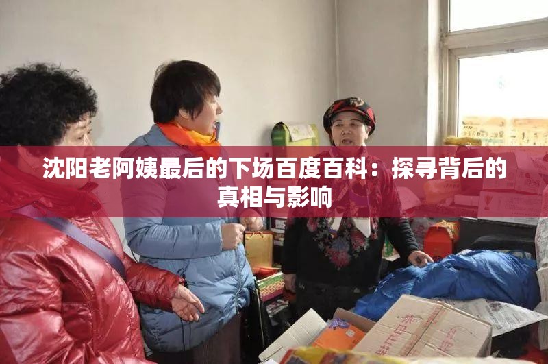沈阳老阿姨最后的下场百度百科：探寻背后的真相与影响